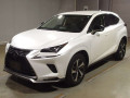 2020 Lexus NX