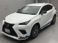 2019 Lexus NX
