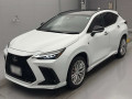 2024 Lexus NX