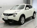 2011 Nissan JUKE