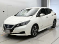 2019 Nissan Leaf