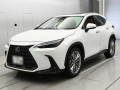 2021 Lexus NX