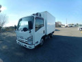 2013 Isuzu Elf Truck