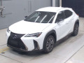 2020 Lexus UX
