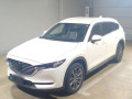 2019 Mazda CX-8