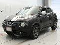2013 Nissan JUKE