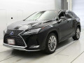 2021 Lexus RX