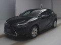 2019 Lexus UX