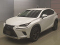 2019 Lexus NX