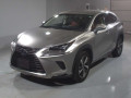 2019 Lexus NX
