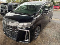 2022 Toyota Alphard