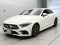 2019 Mercedes Benz Cls-Class