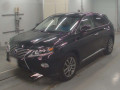 2010 Lexus RX