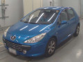 2006 Peugeot 307