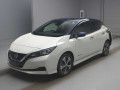 2019 Nissan Leaf