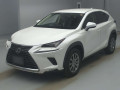 2021 Lexus NX
