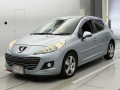 2010 Peugeot 207