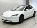 2023 Others MODEL 3
