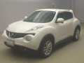 2011 Nissan JUKE