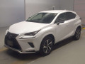 2020 Lexus NX