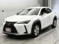 2019 Lexus UX