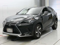 2020 Lexus NX
