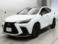 2023 Lexus NX
