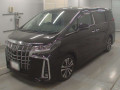 2021 Toyota Alphard