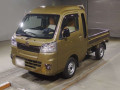 2019 Daihatsu Hijet Truck