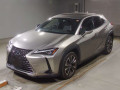 2019 Lexus UX