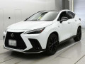 2024 Lexus NX