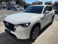 2023 Mazda CX-60