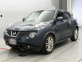 2012 Nissan JUKE