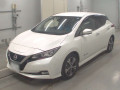 2019 Nissan Leaf
