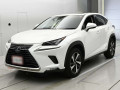 2019 Lexus NX