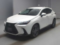 2025 Lexus NX