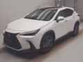 2023 Lexus NX