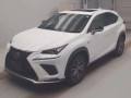 2020 Lexus NX