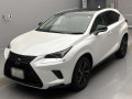 2019 Lexus NX
