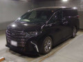 2024 Toyota Alphard Hybrid