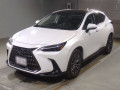 2024 Lexus NX