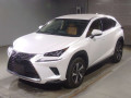2019 Lexus NX
