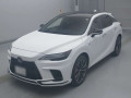 2025 Lexus RX