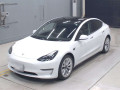 2021 Others MODEL 3