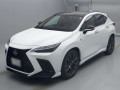 2024 Lexus NX