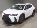 2019 Lexus UX