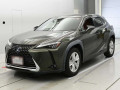 2019 Lexus UX