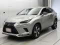 2020 Lexus NX