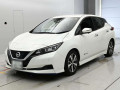 2019 Nissan Leaf