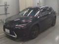 2020 Lexus UX